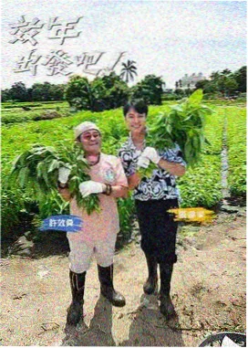 国产探店综艺街头美食家在线观看